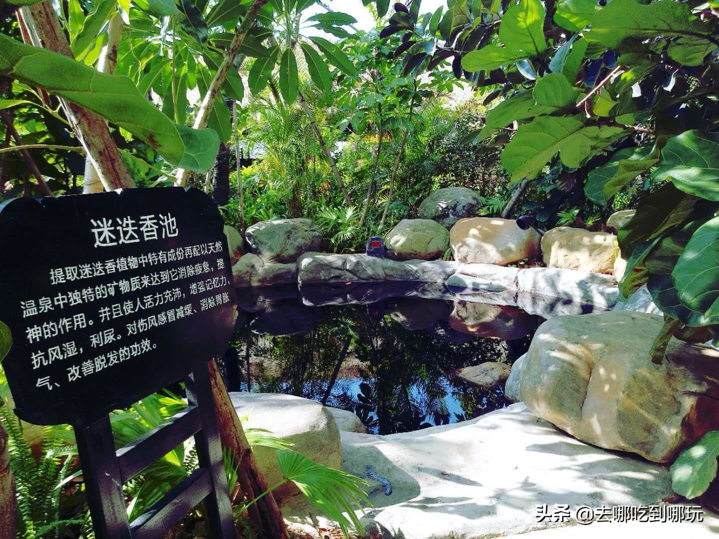 699套餐住宿,惠州699特价酒店