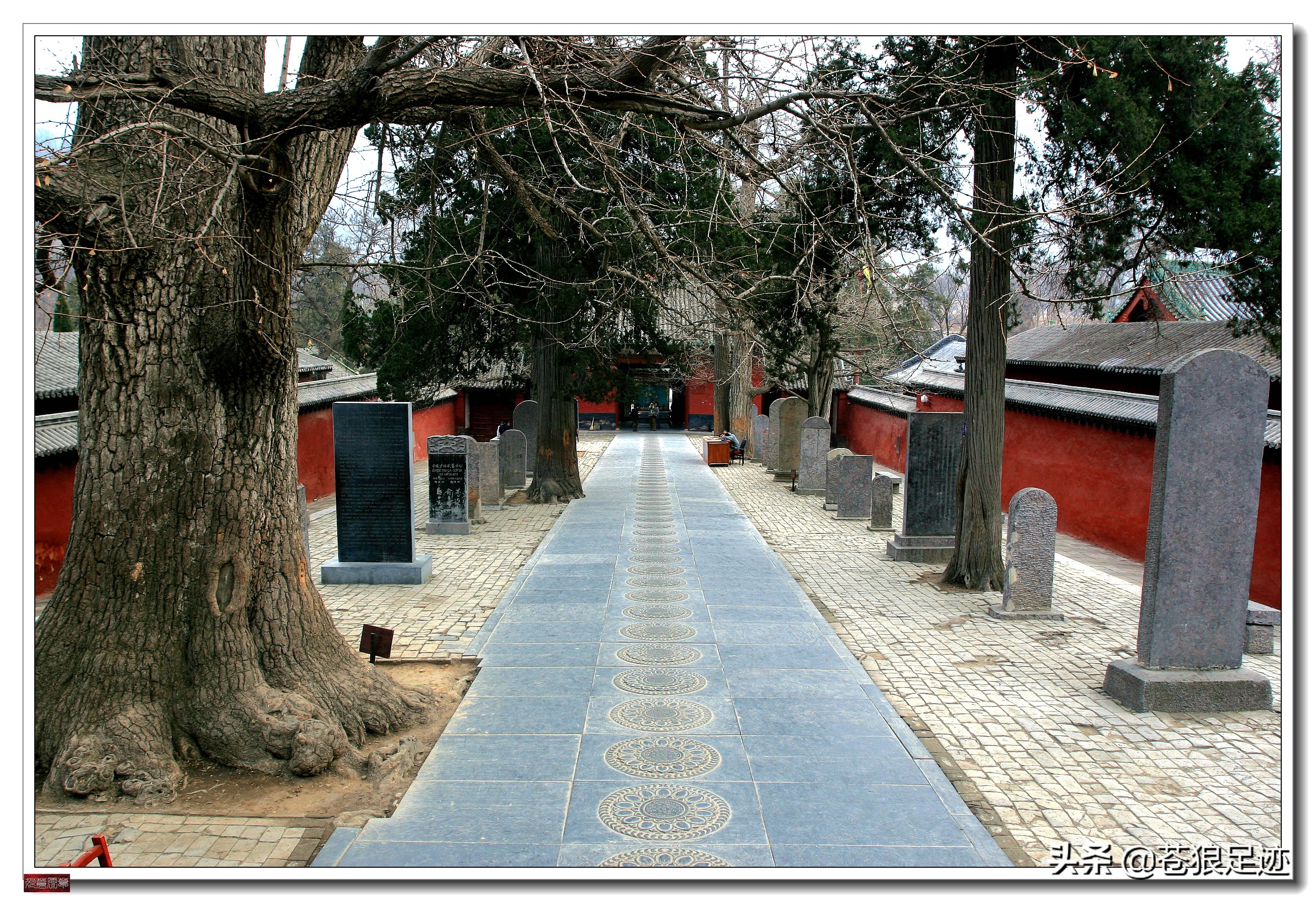 嵩山少林寺禅宗大典,中国禅宗祖庭河南嵩山少林寺