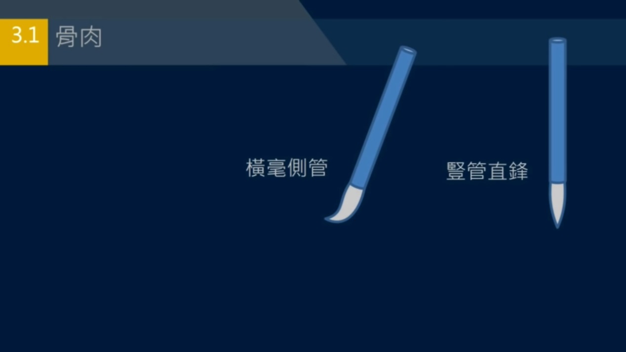 如何两步成字？筋节是字形的内在结构，骨肉皮血是表现筋节