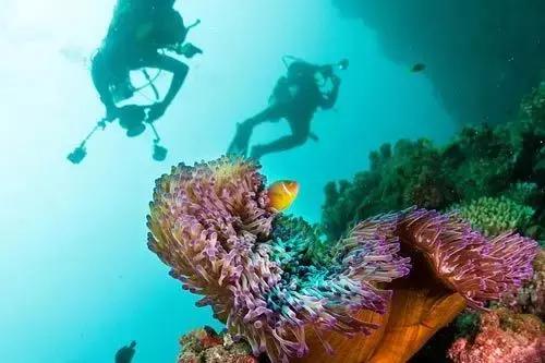 帕劳斐济马尔代夫哪个好,斐济和帕劳旅行