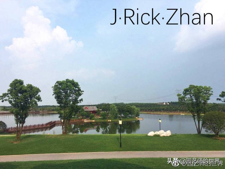 怎么种植草坪不长杂草,如何养好草坪