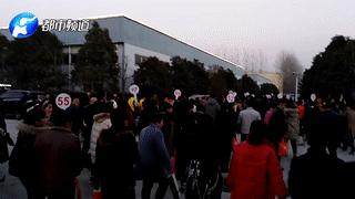 河北华林传销315曝光,河北华林传销案进展