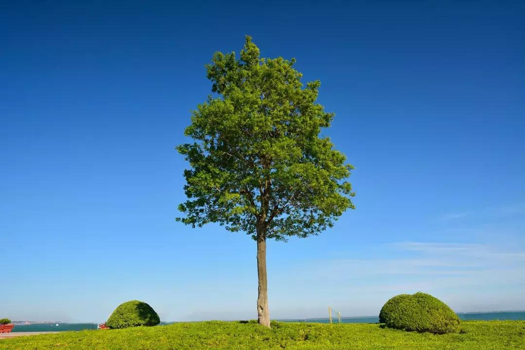 7月底去威海,7月份去威海旅游