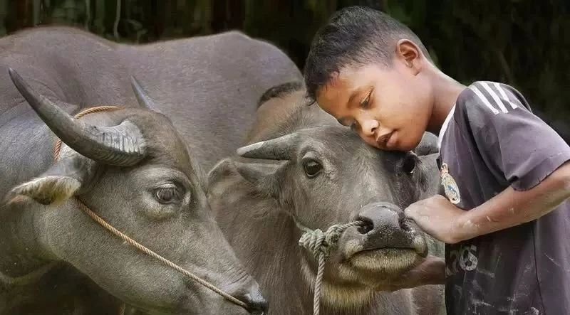 中国县城现状原文,中国县城现状深入调查