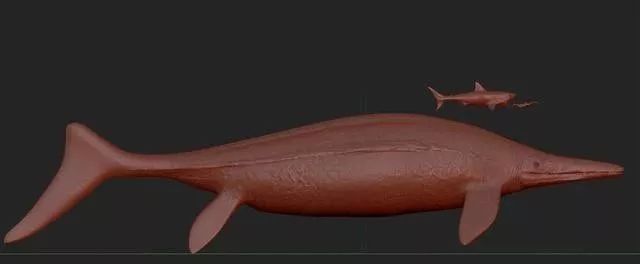 蓝鲸是有史以来最大的动物吗,蓝鲸是世界上最大的动物