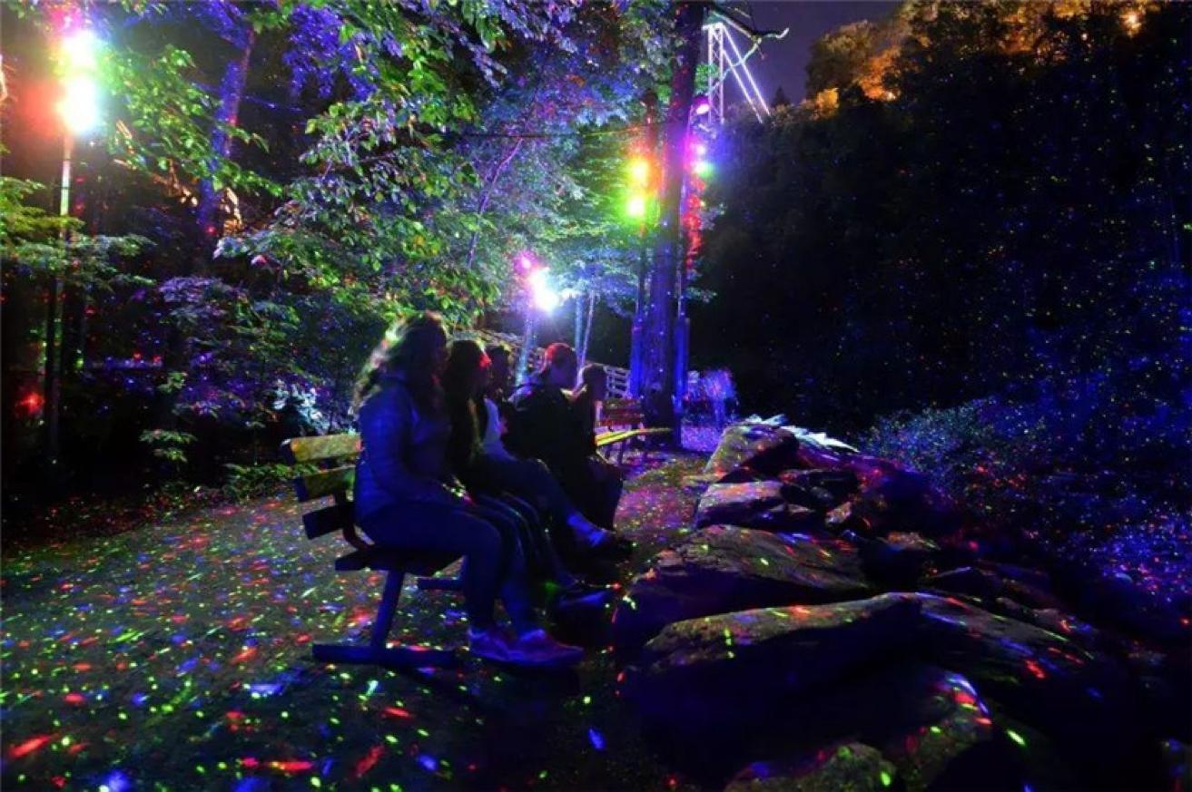 新加坡夜间动物园都有什么动物,新加坡动物园开放时间