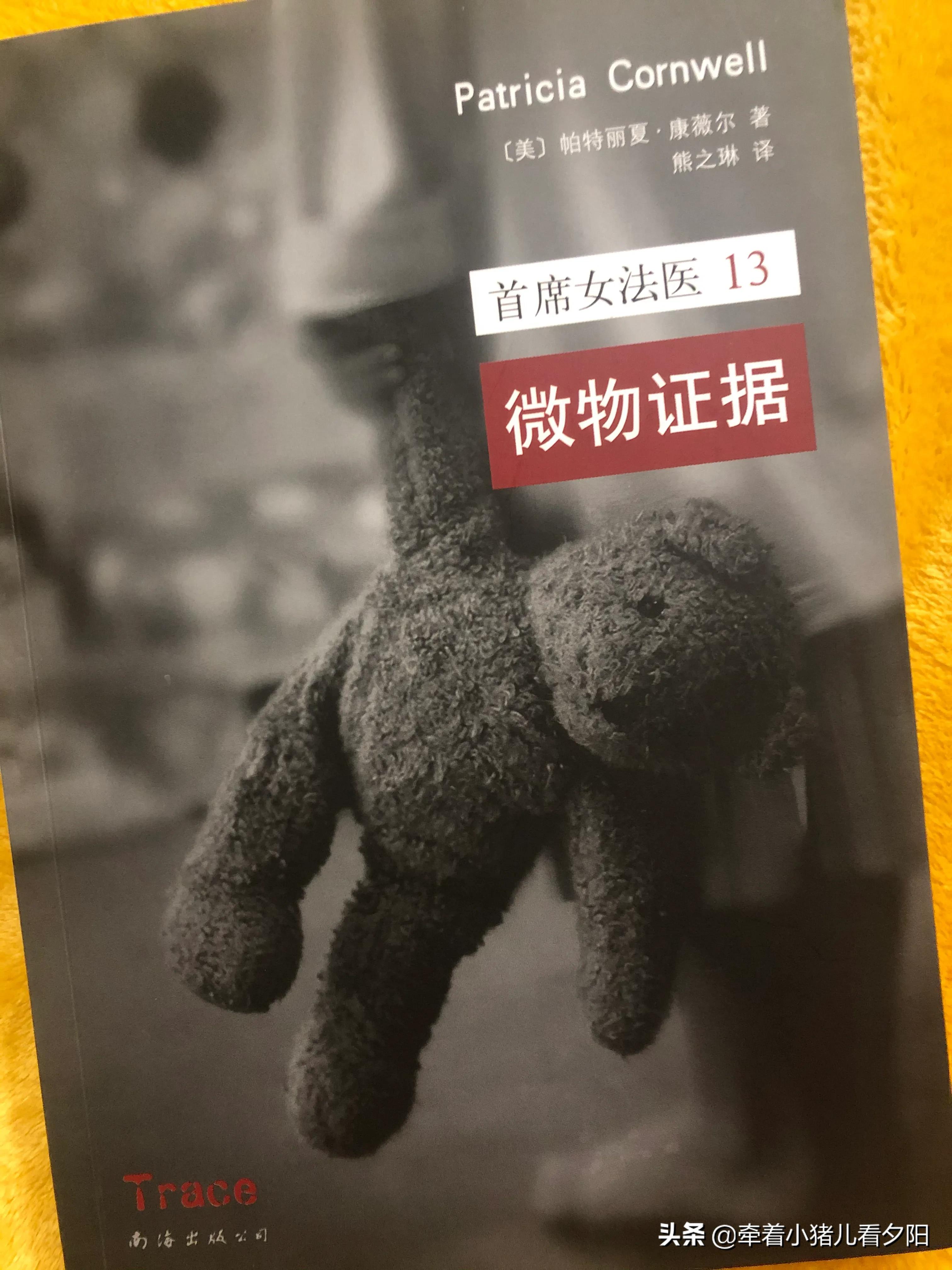 首席女法医小说简介,首席女法医验尸在线阅读