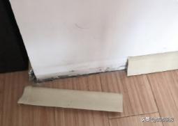 无聊能有多大生产力?他在家造了个电影院