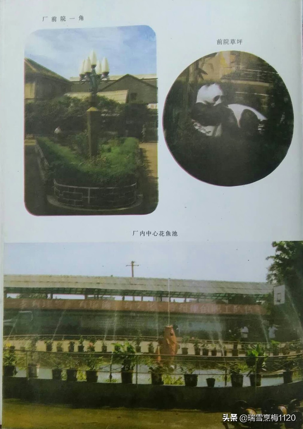 沈阳小型齿轮加工厂,沈阳老工厂都是哪里