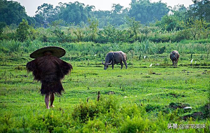 云南牛瘪汤与贵州牛瘪,牛瘪是个啥东西