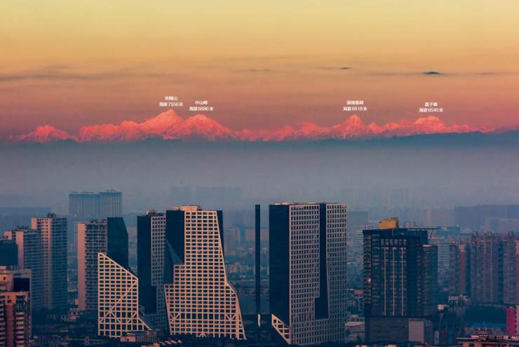 好稀奇！成都春熙路树上长灵芝成都的生态环境，到底有多好？
