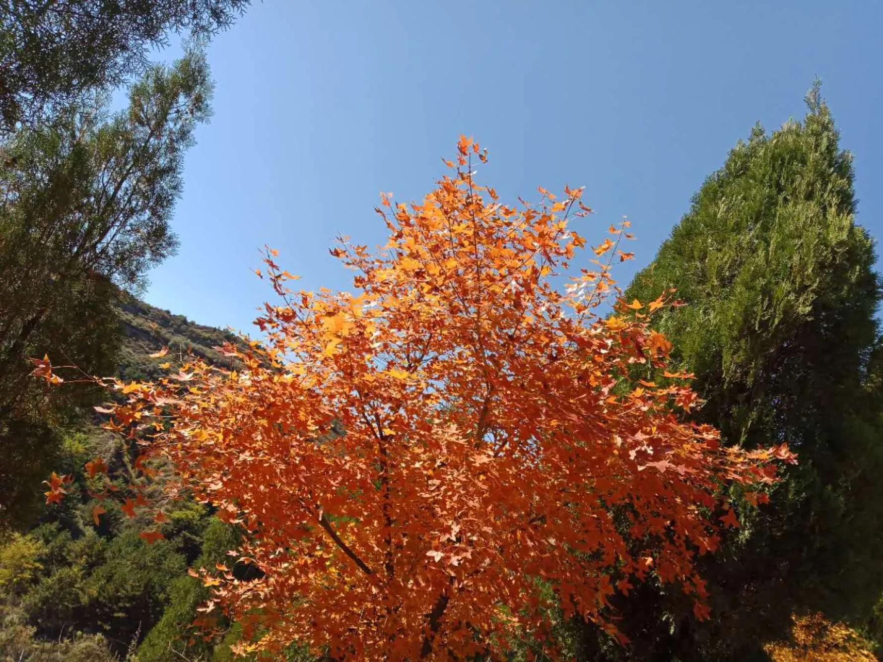 碧岩龙泉山庄,万柏林龙泉山庄