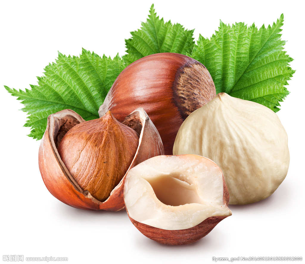 榛子是个什么干果,十大坚果榛子