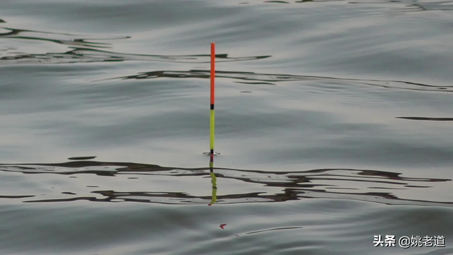 正确调漂的原理和方法,调漂总是只有一目