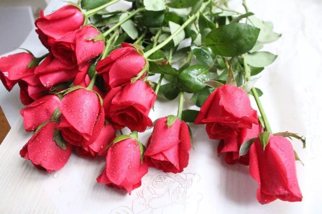 世界地图及各国国花,世界各国的国花完整版