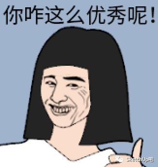 如何把女朋友放入SU当模板?嘿嘿嘿