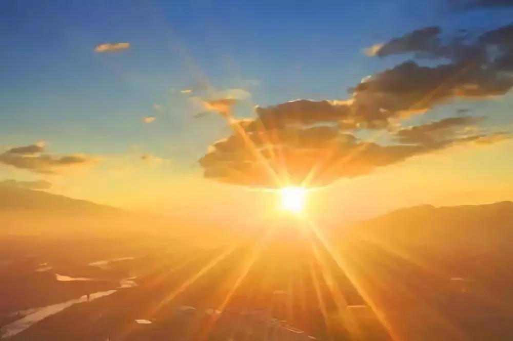 可爱绿的英语,可爱绿植物英语