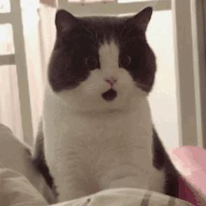 出国旅游怎样避免被遣返,在国外被遣返的需要自费么