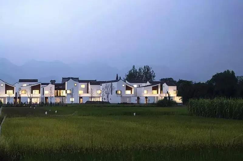 中国最美的乡村振兴村,乡村振兴示范点项目实施方案