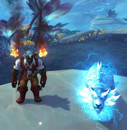 血精灵女武僧幻化皮甲,燃烧王座皮甲幻化武僧