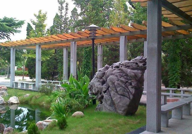 河南新乡七所好高中，新乡一中摘得市理科状元，其他六所你可知晓