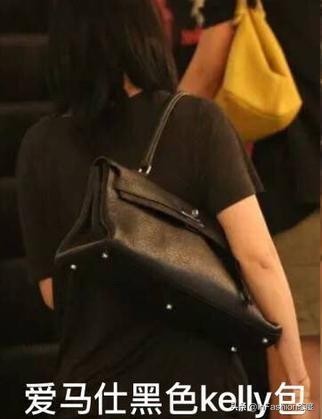 袁咏仪有哪些爱马仕鳄鱼皮包包,袁咏仪爱马仕同款