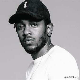 vincestaples鑸炶箞,vincestaples涓撹緫