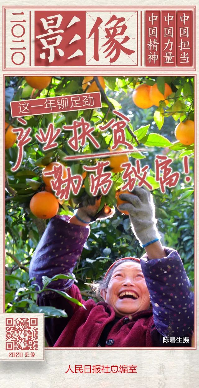 日历黄历海报图片,独生子女年历海报