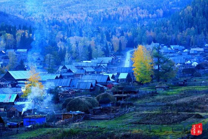 中国鸡尾,中国鸡尾巴