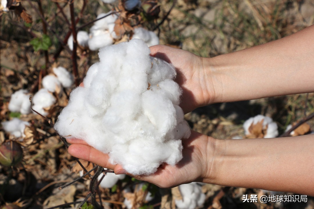 这个中原大省的命运是被什么改变的？地球知识局