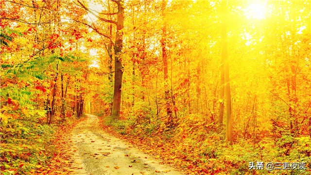 心若向阳何惧忧伤歌词,心若向阳何惧忧伤安之若素