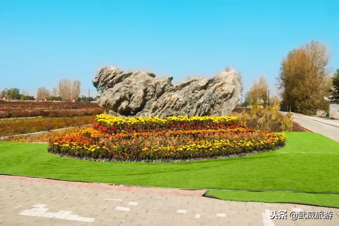 武威着力打造全域旅游,武威文化旅游综合体