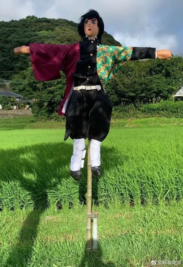 每日内涵囧图,每日囧图笑你一整天