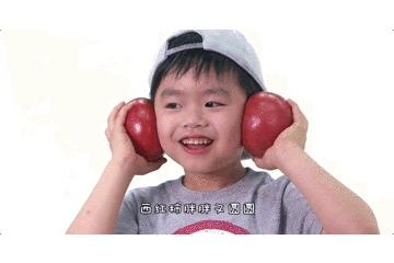 这档由教育专家操刀的原创节目，为1-3岁宝宝开启认知大门！