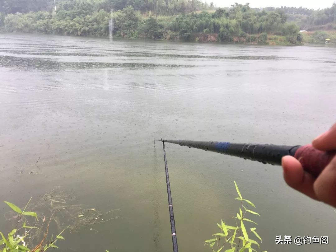 气压多少百帕才缺氧鱼会浮水,缺氧鱼上浮不开口怎么钓