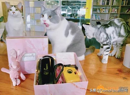 老树开新花焕发第二春,老树开新花