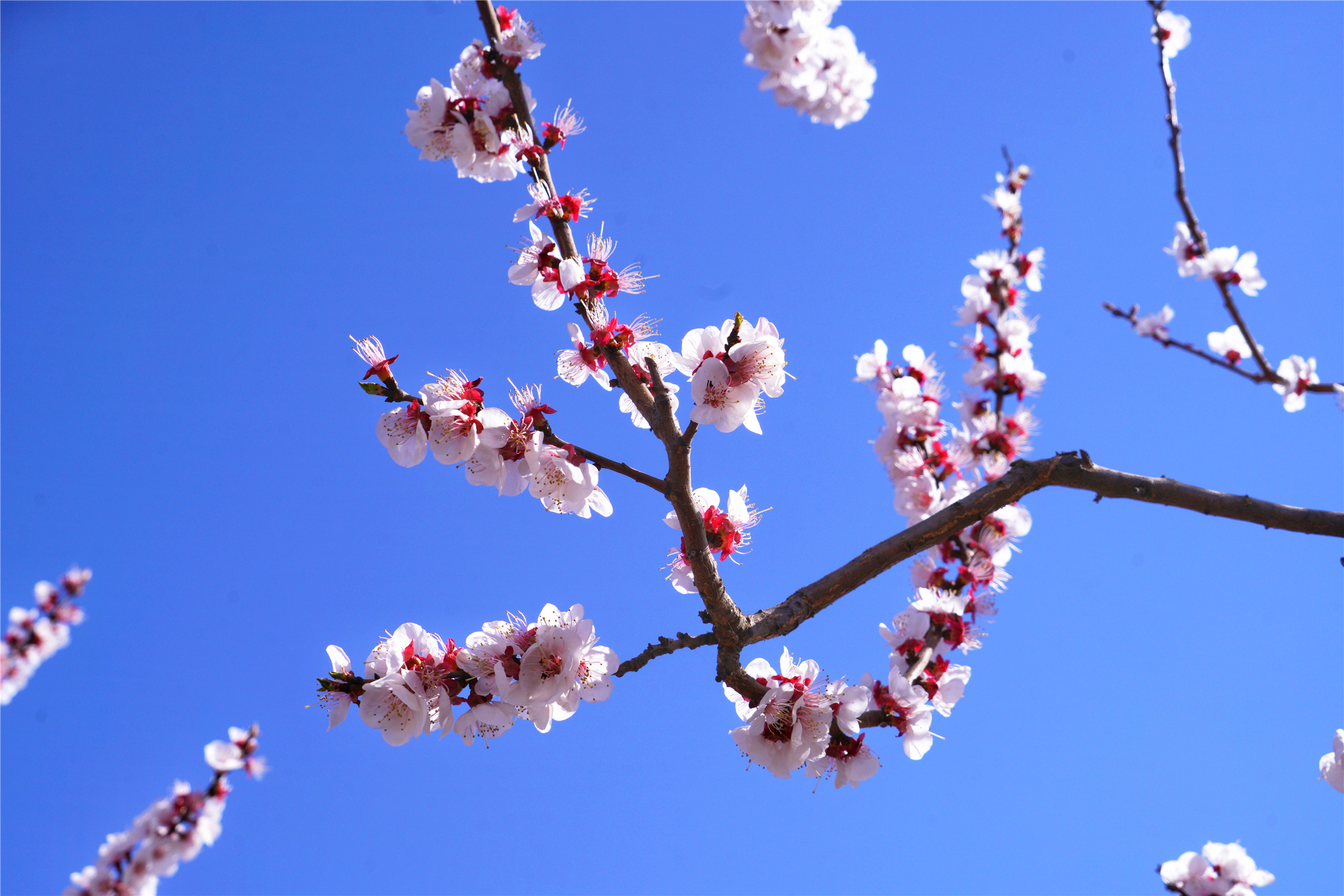河北这座文旅小城值得一去,河北的一座小县城