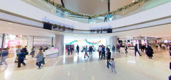 开箱风靡香港的“鱼仔机”，家电界高颜值爱马仕，网友：很实用