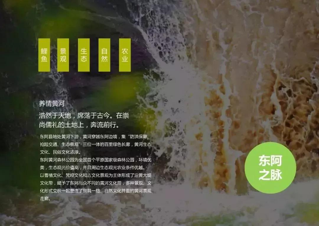 大美在东阿的视频,东阿大美