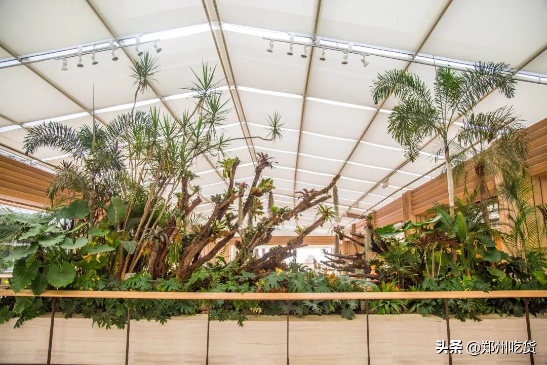 还有1天，十一假期我已经为你安排好了，来这里准没错