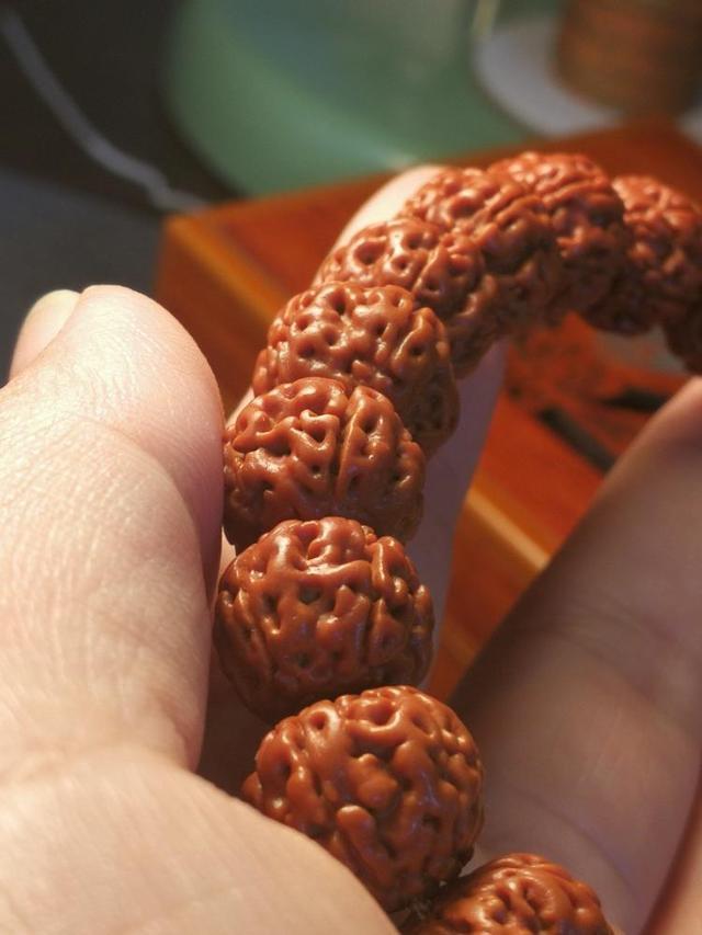 玩金刚菩提的9大误区,金刚菩提的基本知识