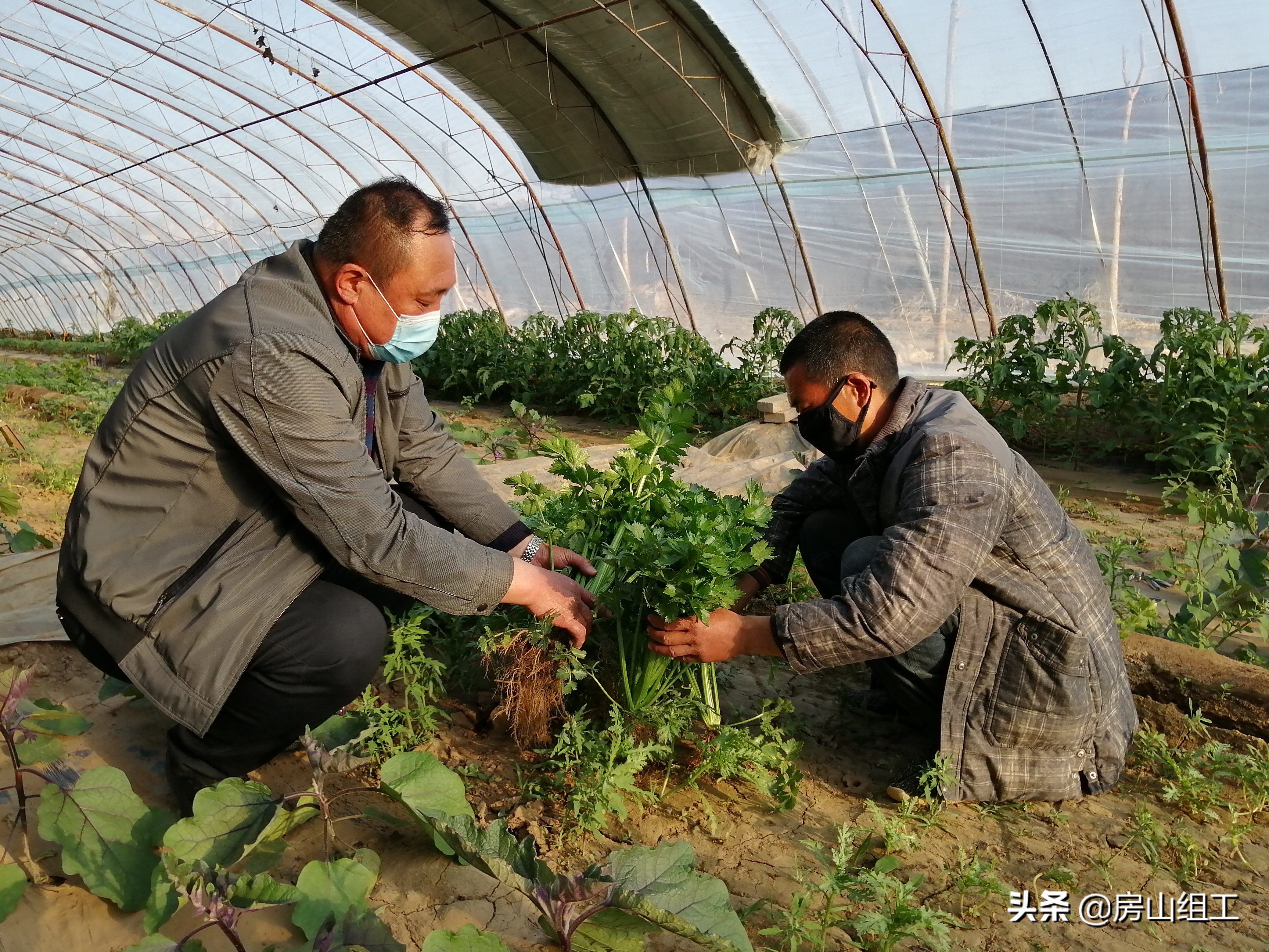 抗击新冠肺炎疫情工作纪实,社区村新冠肺炎疫情防控工作指南