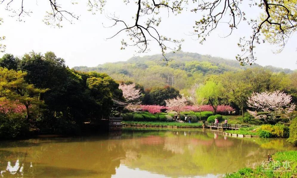 无锡旅游攻略自由行最佳线路,无锡旅游攻略一日游