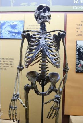 距今约200万年前的最早古人类化石,人类发现570万年前的脚印