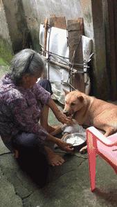 空中一字马搞笑图,一个突如其来的一字马