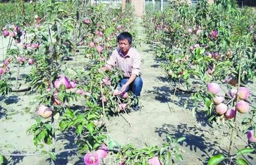 利润很吓人10个冷门农村创业项目,小本创业点子2020加盟赚钱好项目