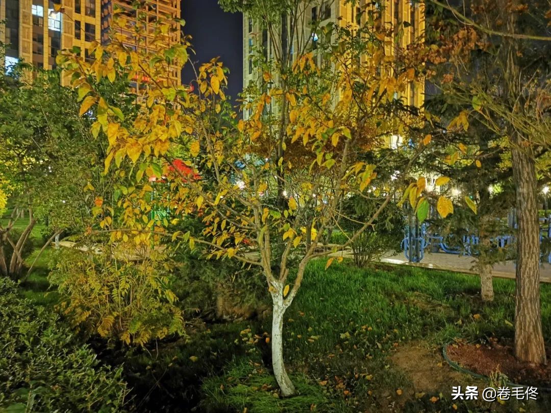 iphone11pro和iphone11拍照的区别,iphone11pro和iphone12拍照