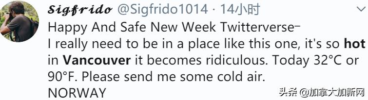 温哥华体感39℃温村人集体热疯印度人表示：太热了想回印度