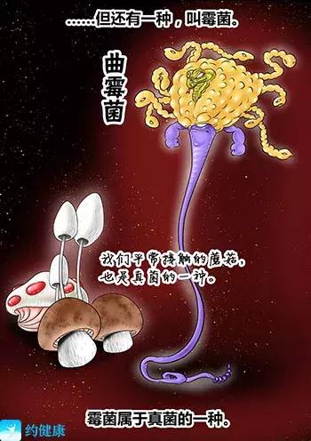 游泳耳朵进水了一直嗡嗡响怎么弄,游泳时耳朵进水了有点疼怎么处理