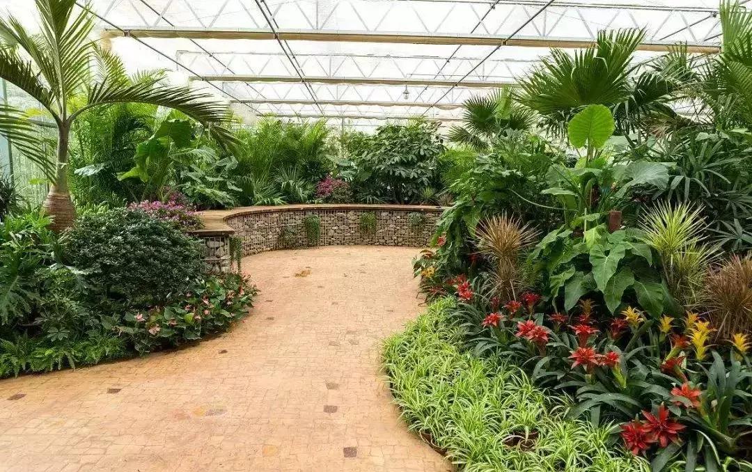 田园综合体的温室大棚，怎么做更有价值